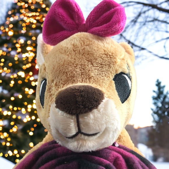 DanDee Toy Plush Rudolph Red Nose Reindeer Clarice Fleece Throw Pink Black Check - Picture 1 of 14